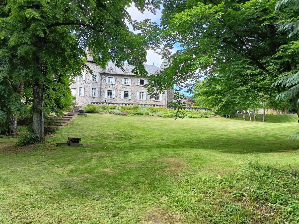 Hotel Chateau Ol Puech Vic-sur-Cère Exterior foto