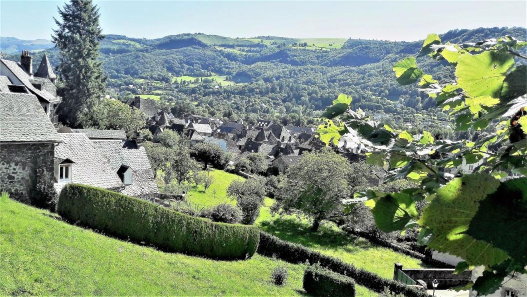 Hotel Chateau Ol Puech Vic-sur-Cère Exterior foto